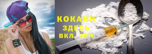 PSILOCYBIN Белокуриха