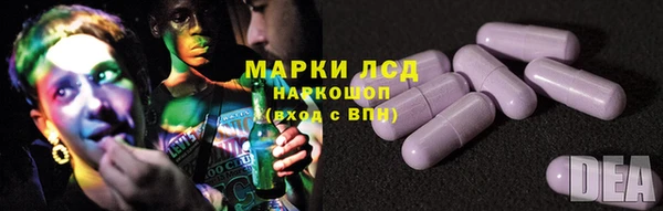 PSILOCYBIN Белокуриха