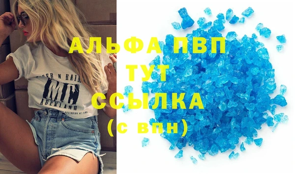 PSILOCYBIN Белокуриха