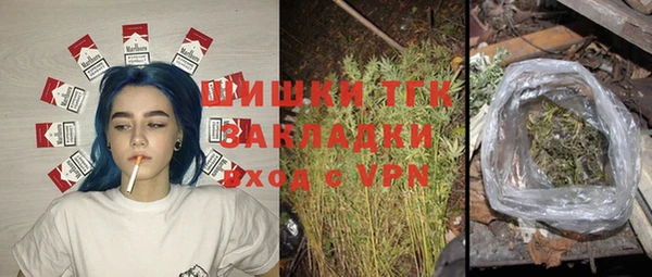 PSILOCYBIN Белокуриха